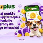 zooPunkty w zooplus club program lojalnościowy