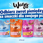 Cashback Wagg smaczki dla psa za darmo