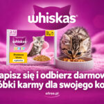 Whiskas darmowa próbka karmy dla kota