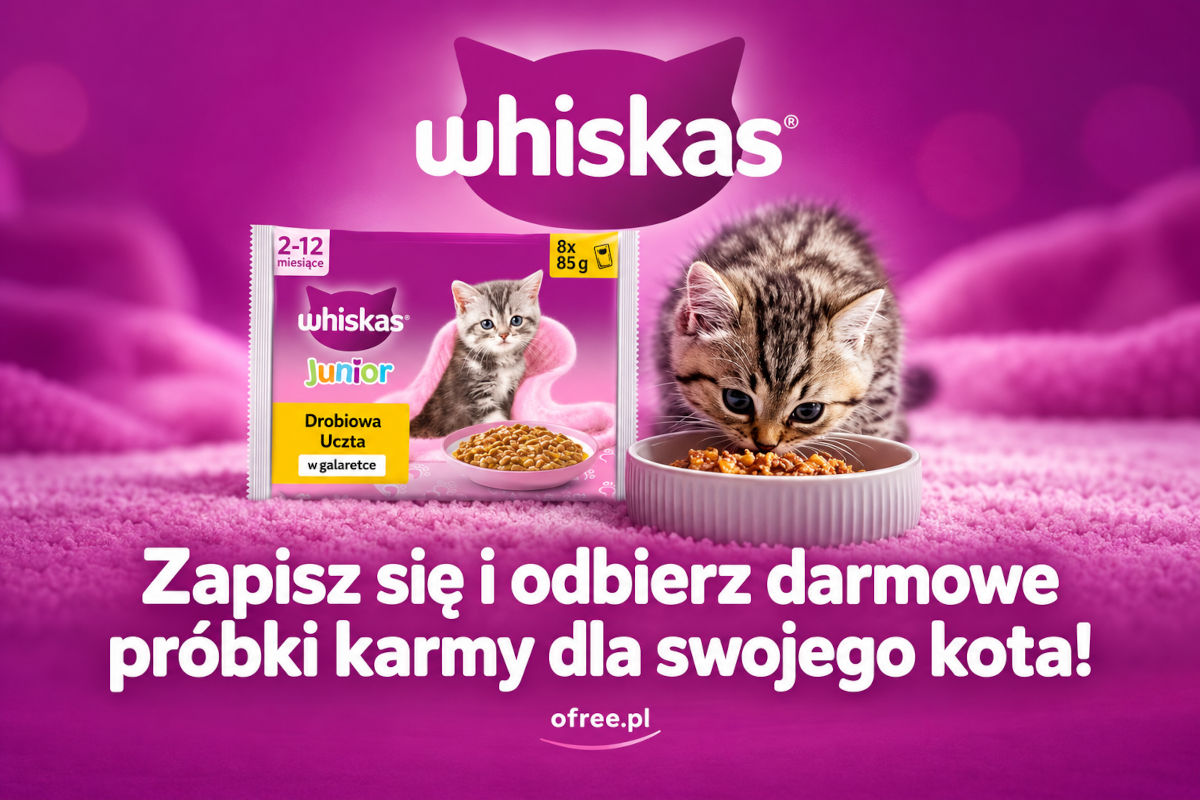 Whiskas darmowa próbka karmy dla kota